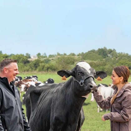 éleveurs de vaches laitières