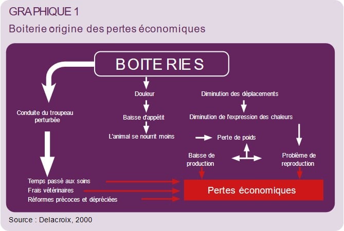 Boiteries graphique