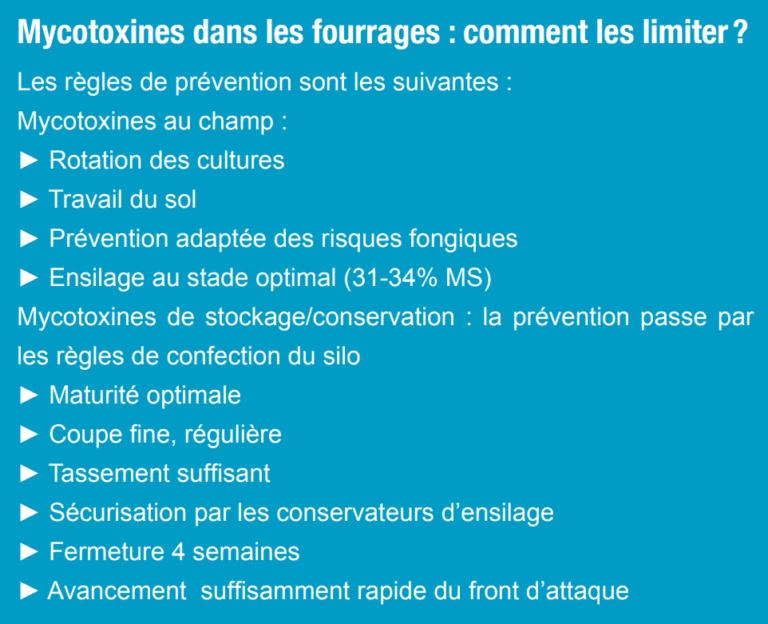 mycotoxines dans les fourrages