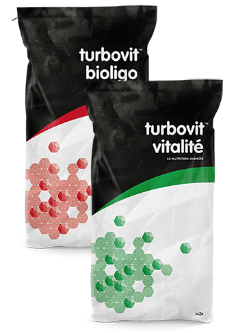 Turbovit™, Polychoc™