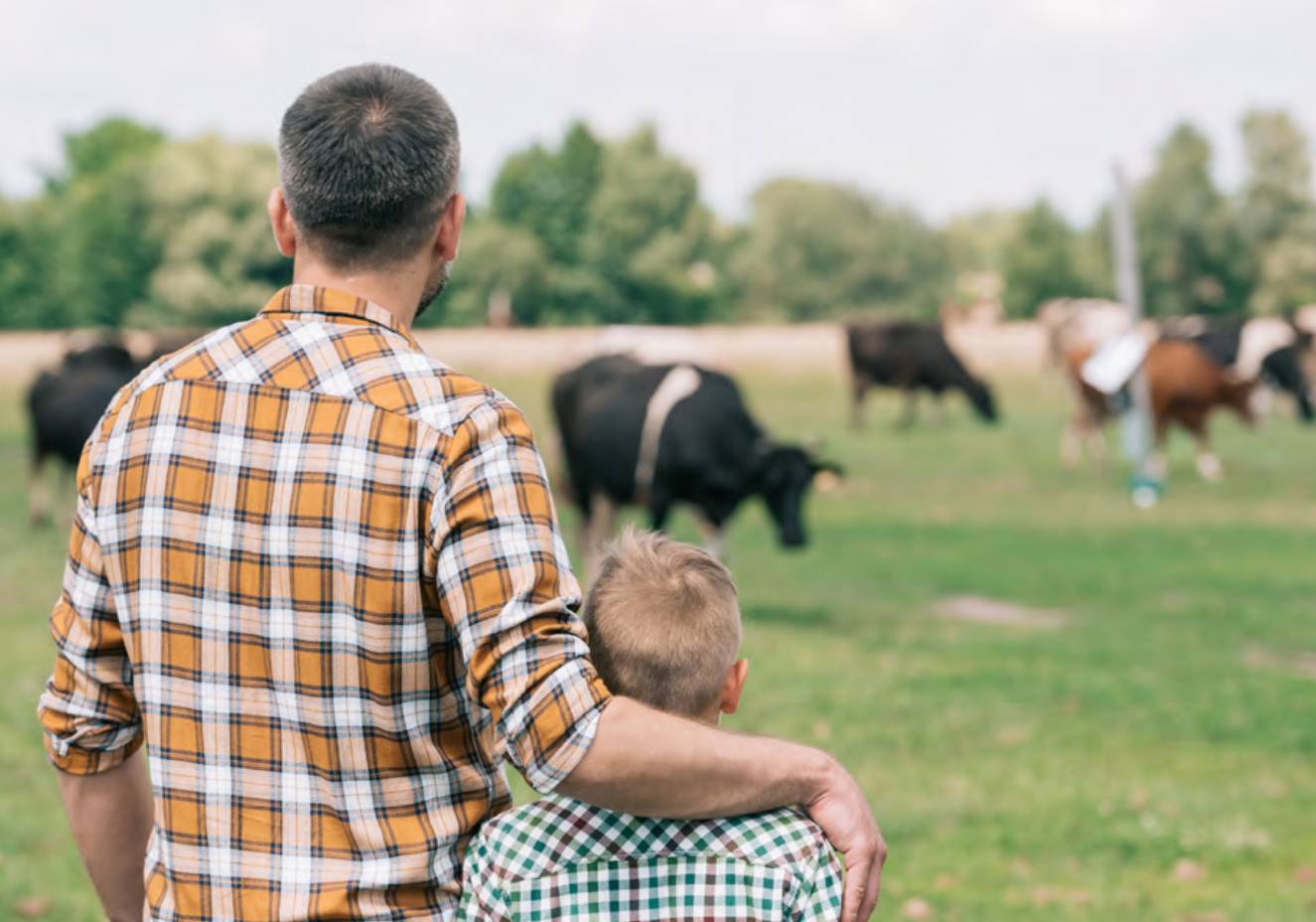 Nutrition animale pour bovin Neolait